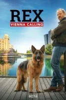 Комиссар Рэкс: Перезапуск